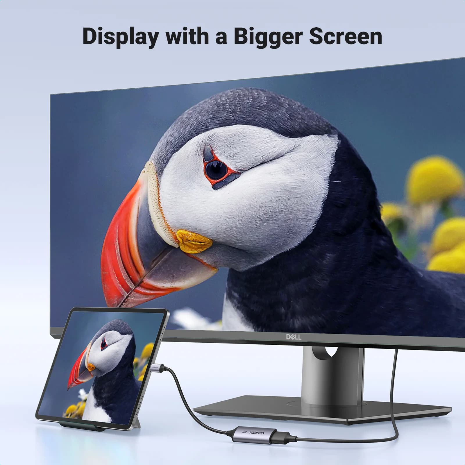 USB-C to 8K DisplayPort 1.4 Adaptör Kablosu